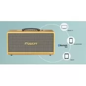 LOA  DI ĐỘNG PASION 2C