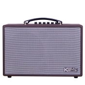 Loa karaoke di động xách tay ACNOS CS160
