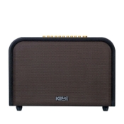 Loa ACNOS ACOUSTIC 3