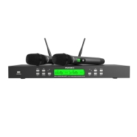 Micro Không Dây PARAMAX SM-1000 SMART