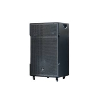 LOA DI ĐỘNG DALTON TS18G800X