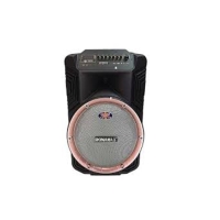 LOA KÉO KARAOKE RONAMAX B15A