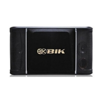 LOA KARAOKE BIK 768