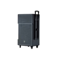 LOA DI ĐỘNG DALTON TS15G500X