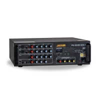 AMPLY JARGUAR PA-203N GOLD AF