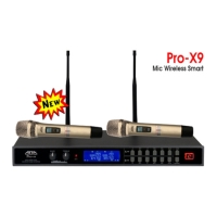 MICRO KHÔNG DÂY ANA PRO - X9