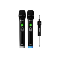 Micro không dây tích hợp PASION ECHO