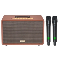 Loa Di Động Acnos FLAC39