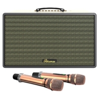 Loa Karaoke Di Động  PARAMAX SAGA/SAGA 8