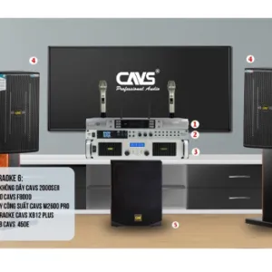 DÀN KARAOKE CAVS-02