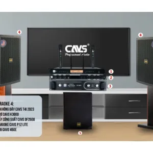 DÀN KARAOKE CAVS-01