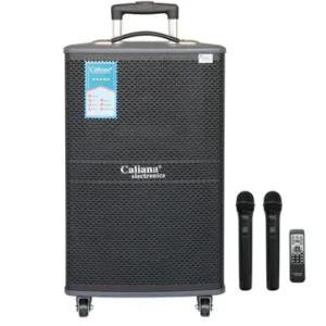 LOA KÉO DI ĐỘNG CALIANA WD-12A