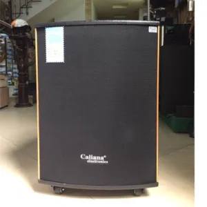 LOA KÉO DI ĐỘNG CALIANA WD15B