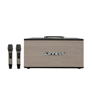 Loa GUINNESS GX - 305