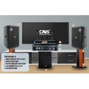 DÀN KARAOKE CAVS-01
