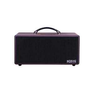 Loa Di Động Mini  ACNOS KS362D
