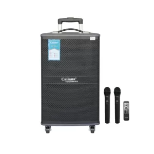 LOA KÉO DI ĐỘNG CALIANA WD-12A