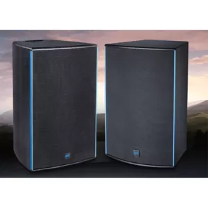 LOA KARAOKE CHUYÊN NGHIỆP RKB CF12 PRO