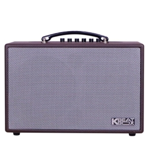 Loa karaoke di động xách tay ACNOS CS160