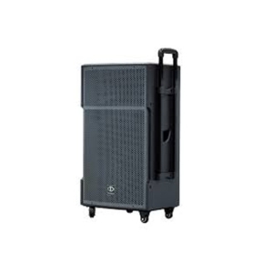 LOA DI ĐỘNG DALTON TS15G500X