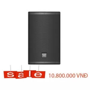 Loa full-range PARAMAX PRO-V30