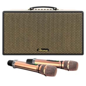 Loa Karaoke Di Động Xách Tay PARAMAX Aura