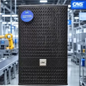 Loa full CAVS VP12 | Loa Full-range bass 30