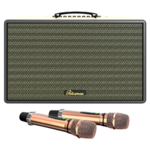 Loa Karaoke Di Động  PARAMAX SAGA