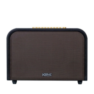 Loa ACNOS ACOUSTIC 3