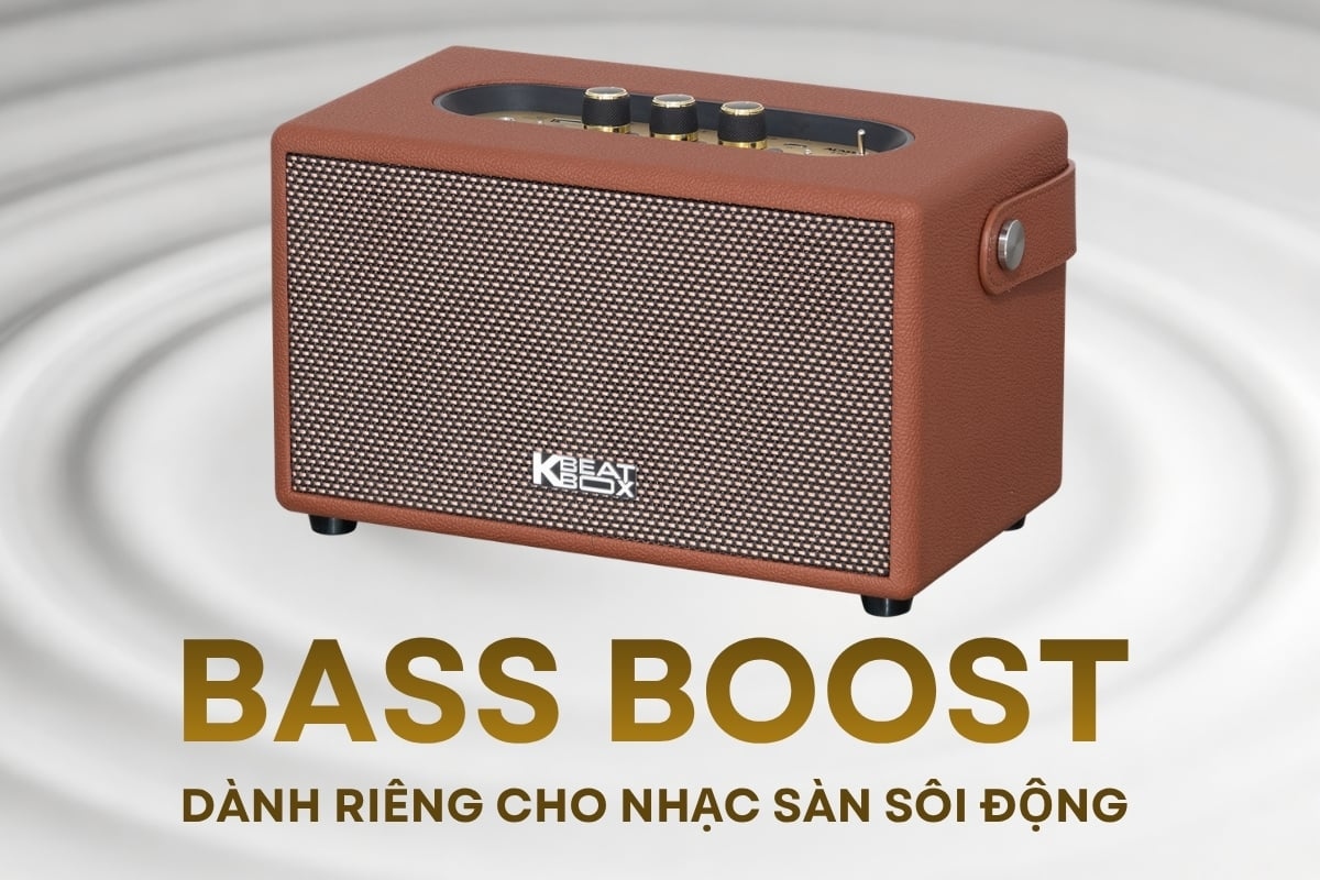 Loa Di Động Acnos S60