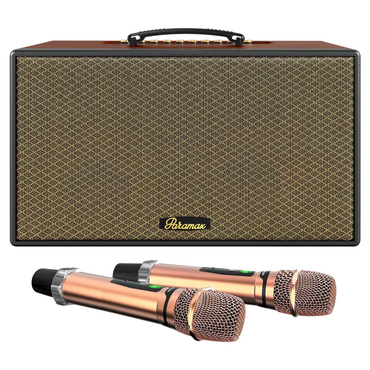 Loa Karaoke Di Động Xách Tay PARAMAX Aura