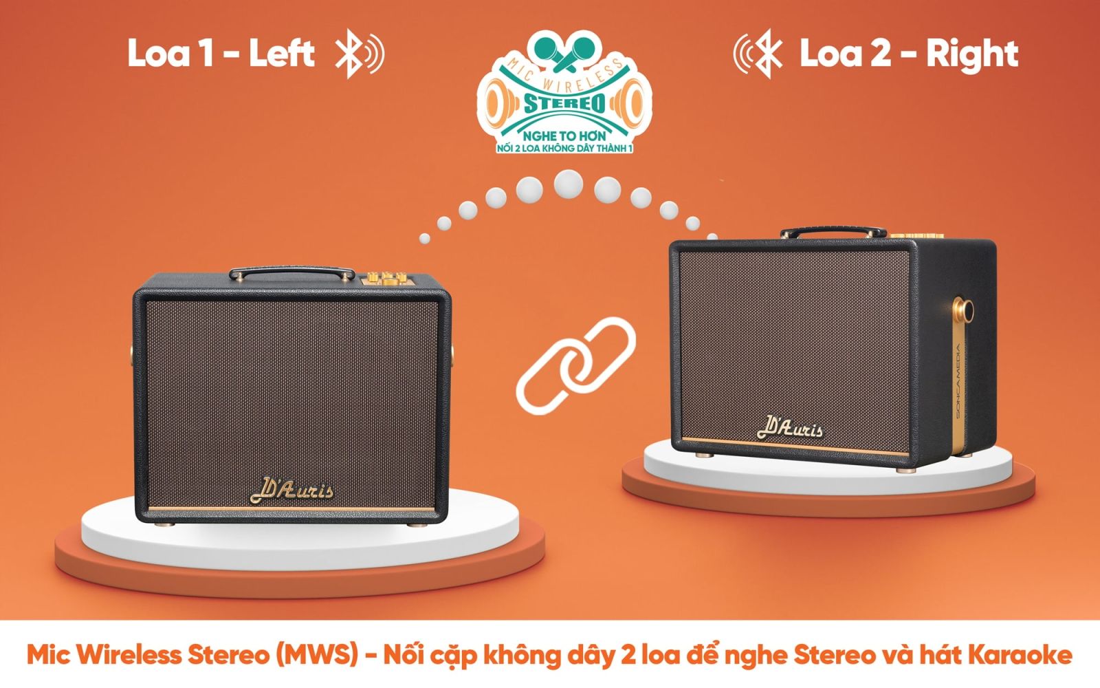 Loa Di Động Acnos D'Auris 200