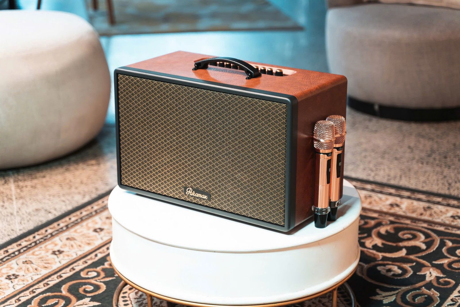 Loa Karaoke Di Động  PARAMAX SAGA