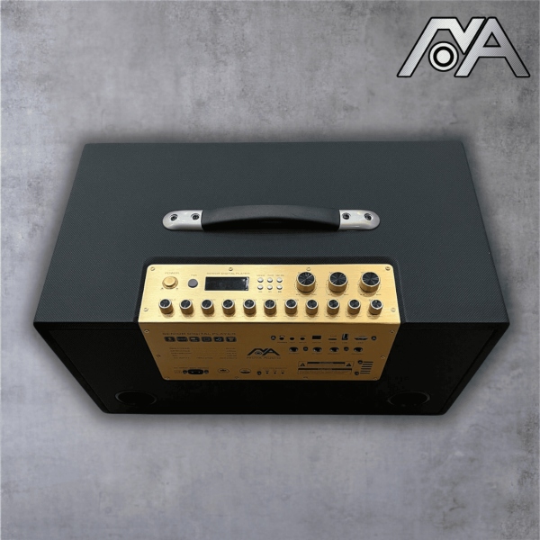 Loa Karaoke Di Động Nova Audio F20Pro