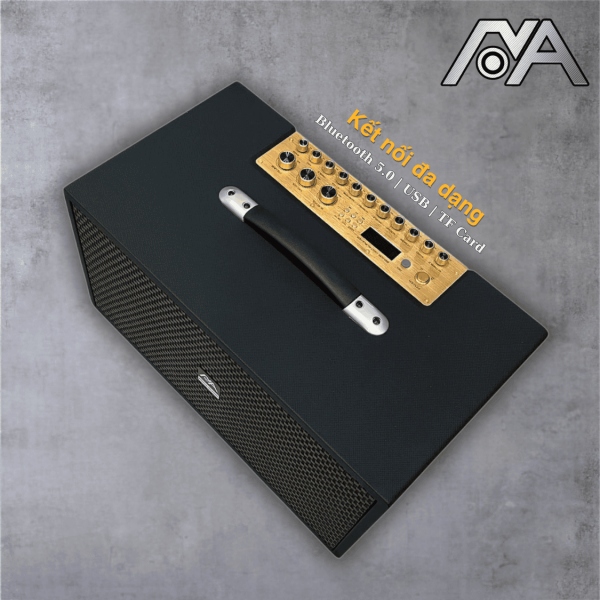 Loa Karaoke Di Động Nova Audio F20Pro