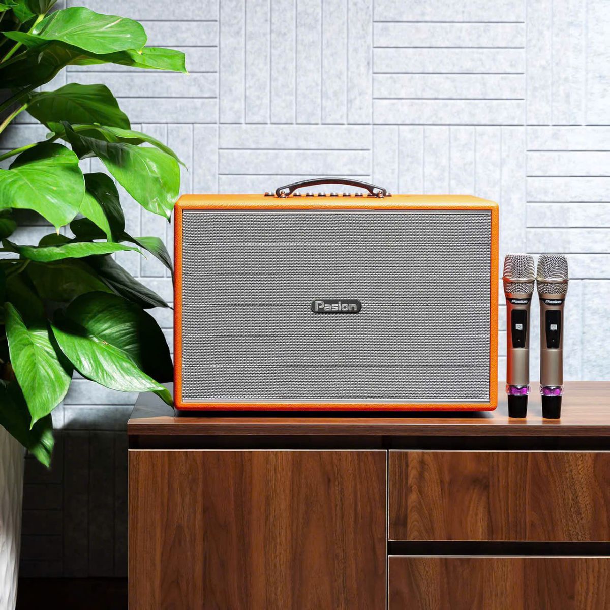 Loa Di Động Paramax PASION Mozo