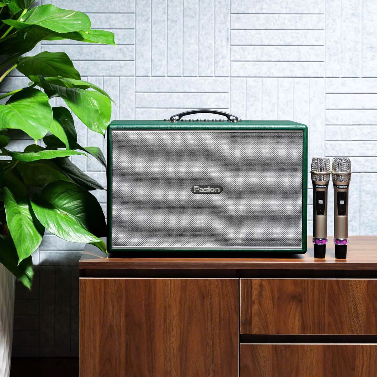 Loa Di Động Paramax PASION Mozo