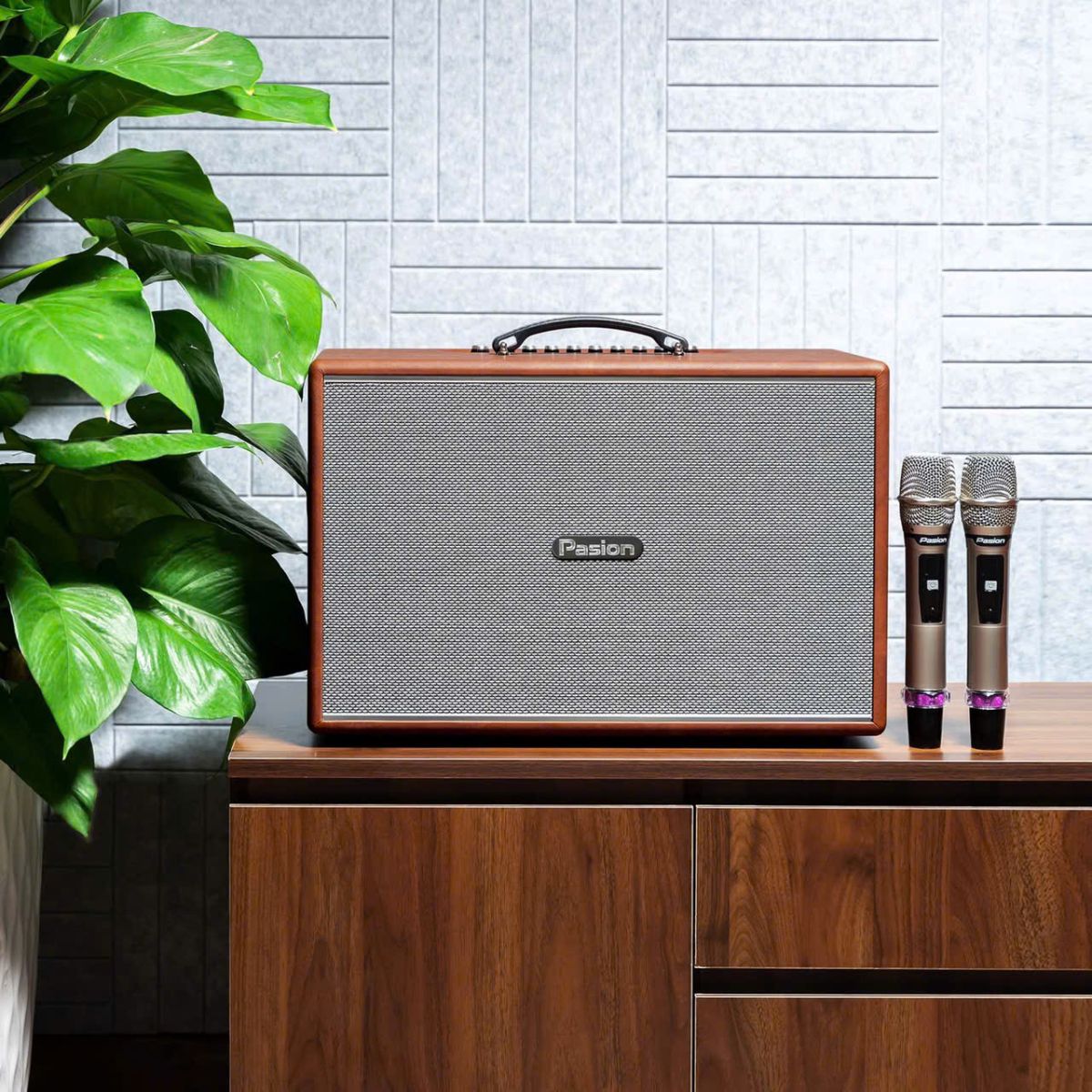 Loa Di Động Paramax PASION Mozo