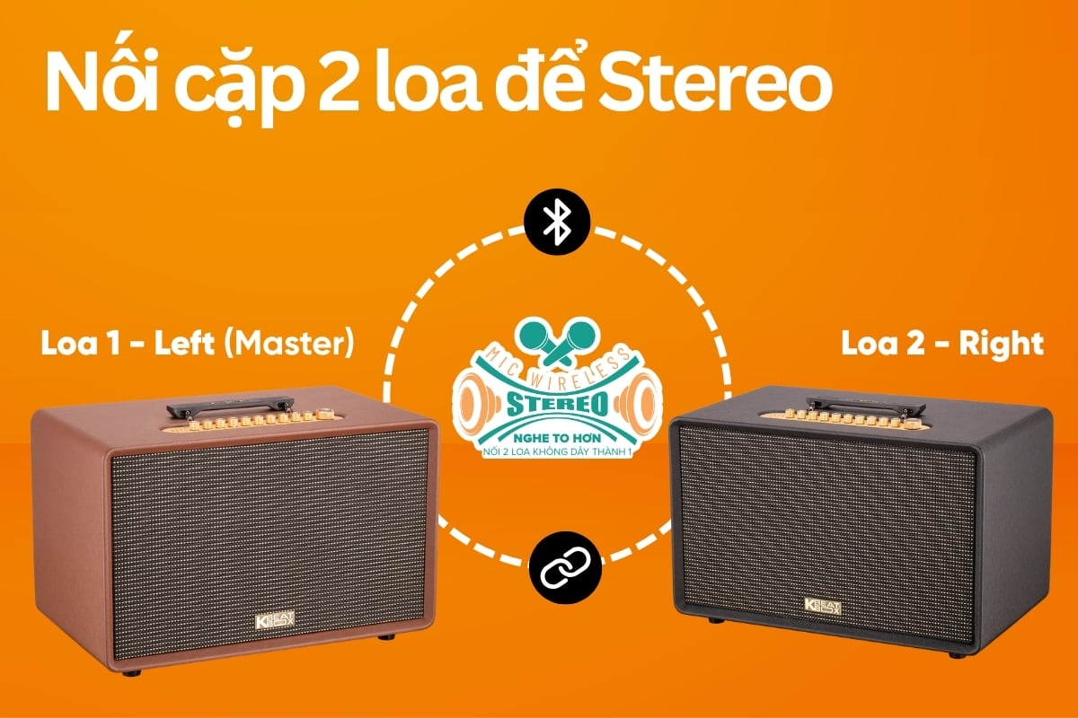 Loa Di Động Acnos FLAC39