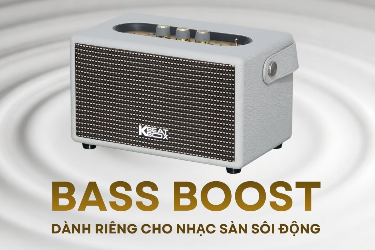 Loa Di Động Acnos S30