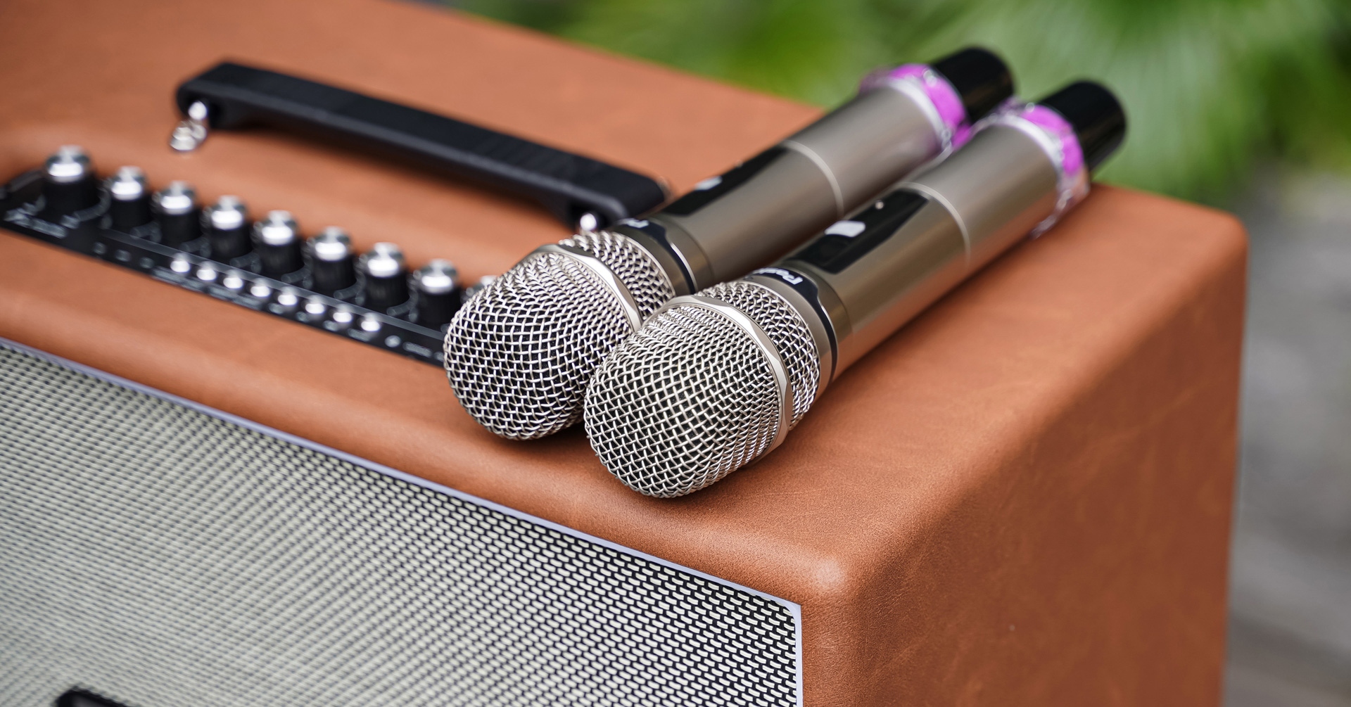 Loa Di Động PASION Outro