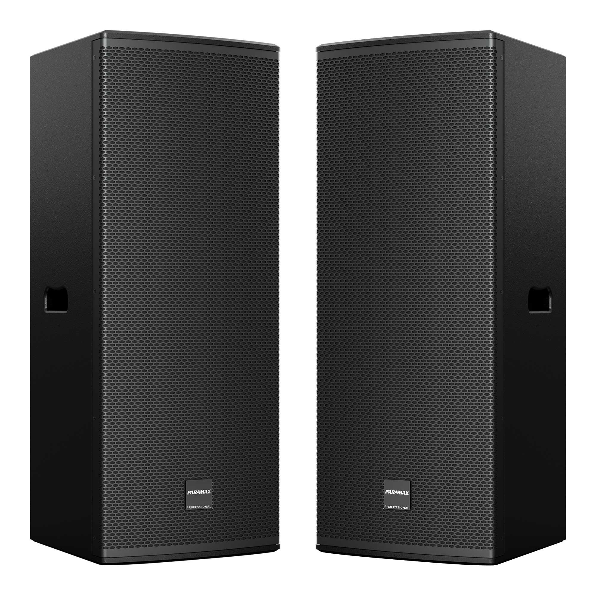 Loa Full Đôi PARAMAX V240