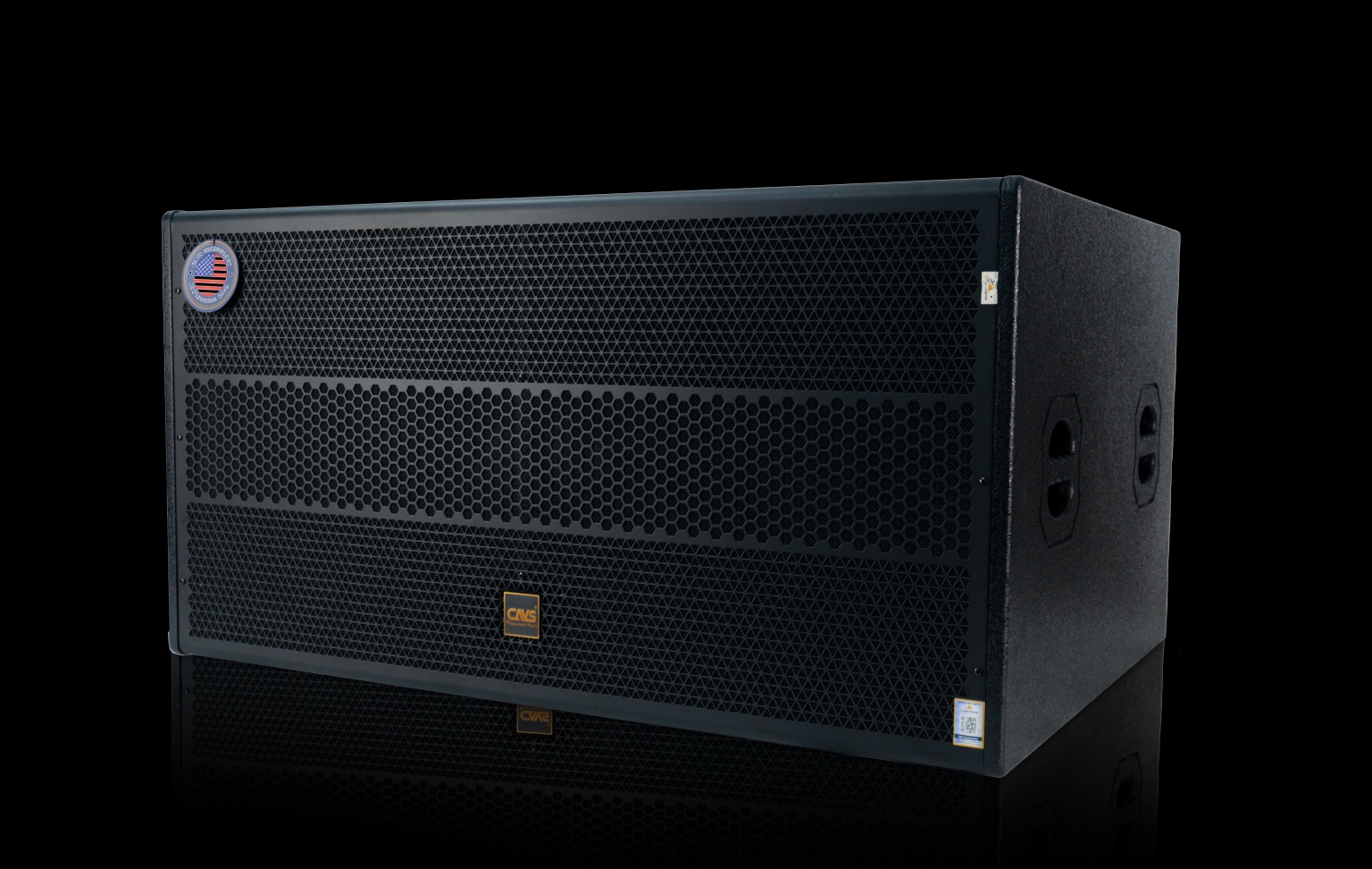 Loa Siêu Trầm CAVS HX218