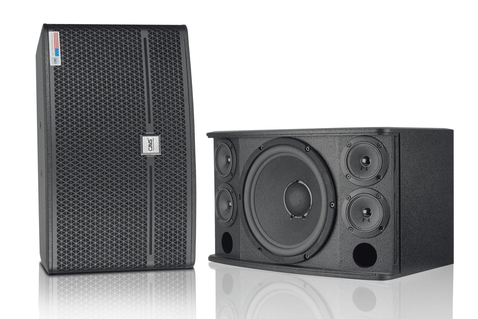 Loa CAVS KX10