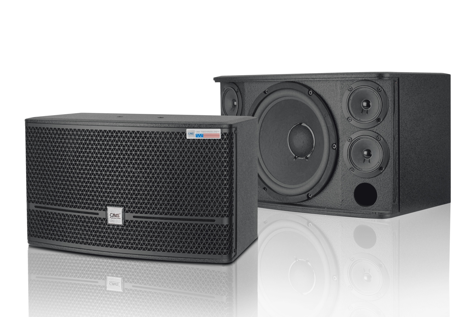 Loa CAVS KX10
