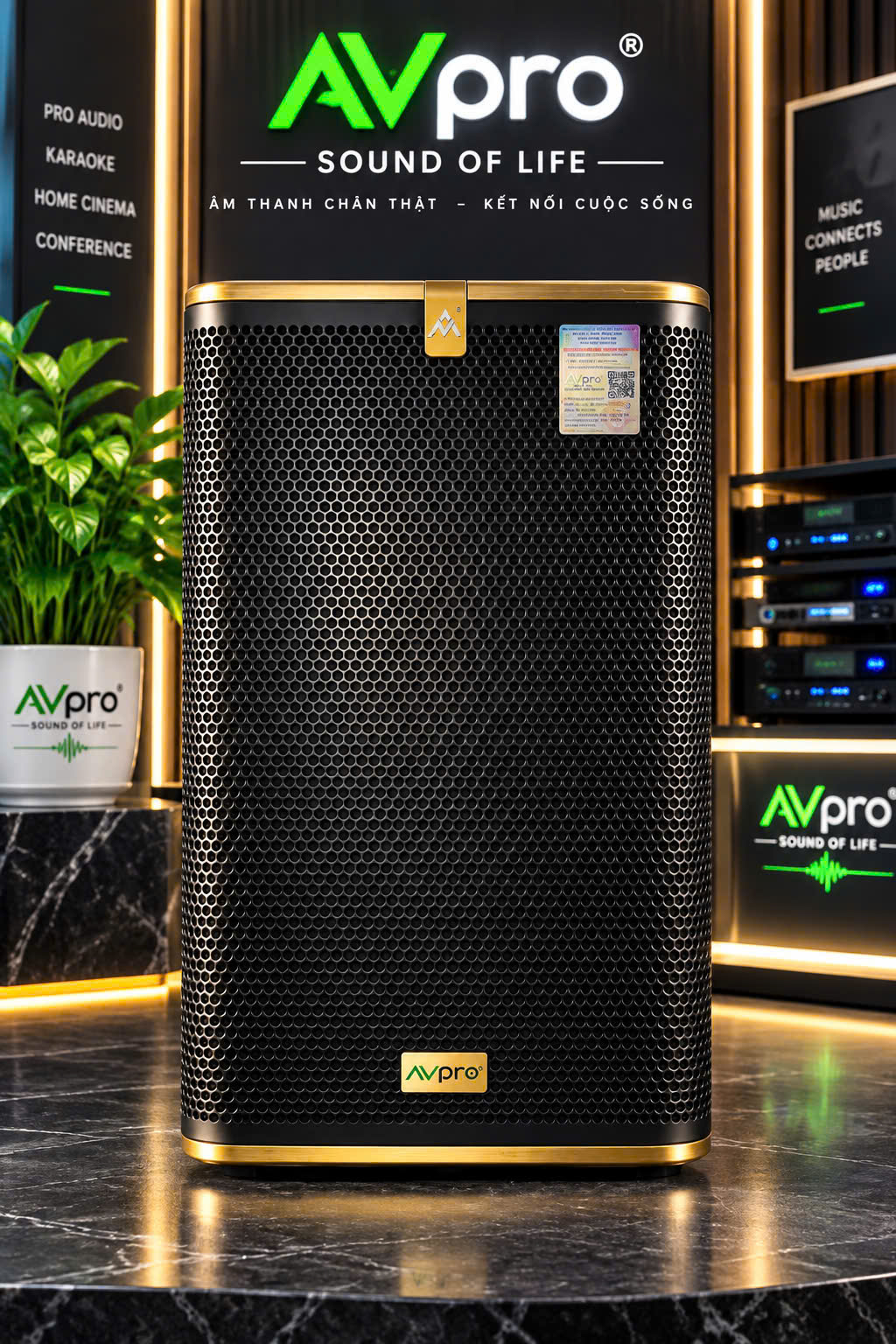 Loa full AVPRO ECO12