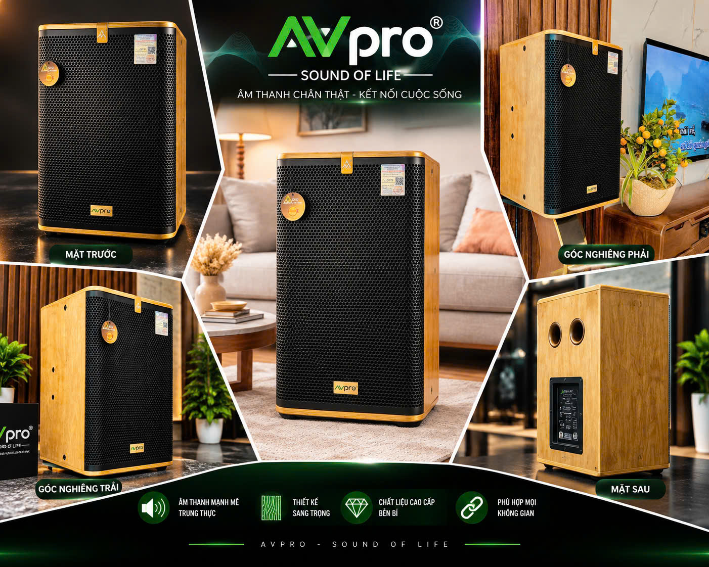 Loa full AVPRO ECO12