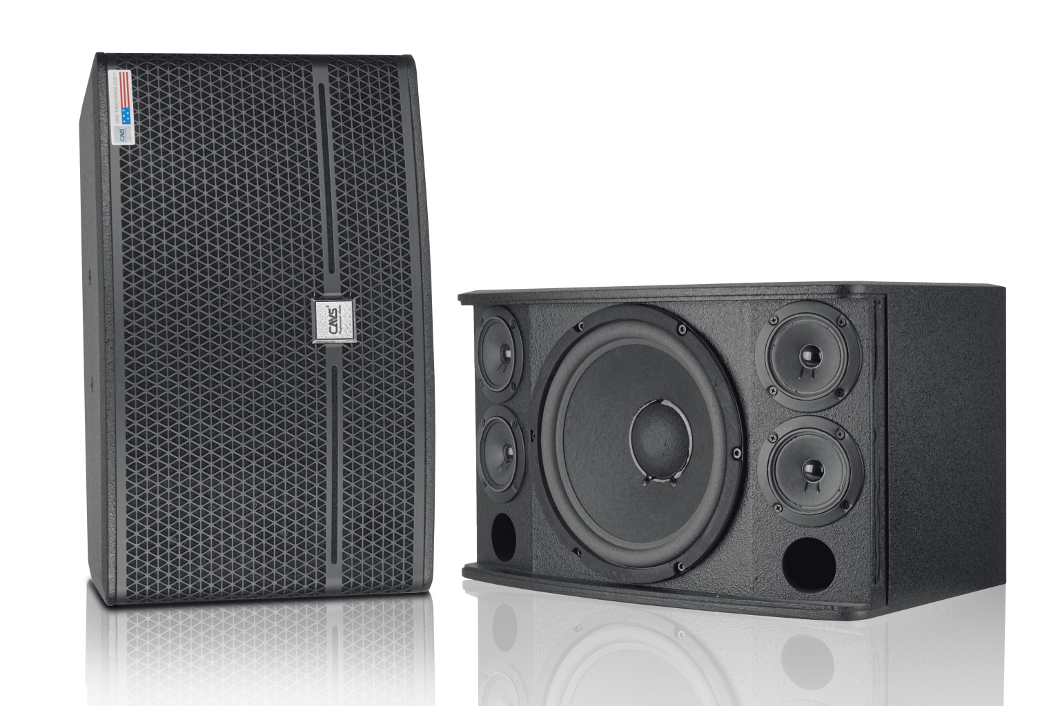 Loa Karaoke CAVS FK10