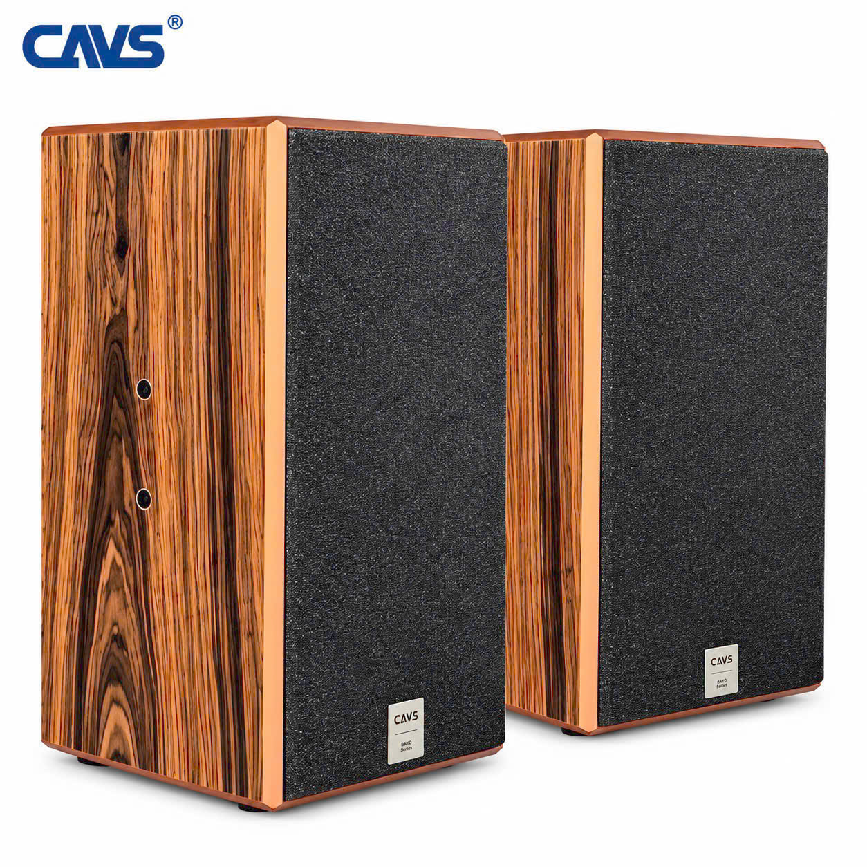 Ra mắt sản phẩm loa fullrange CAVS TX12
