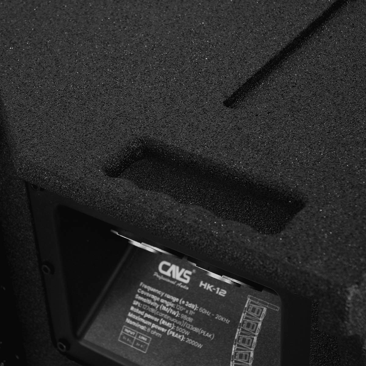 Loa Sự Kiện Line Array CAVS HK12